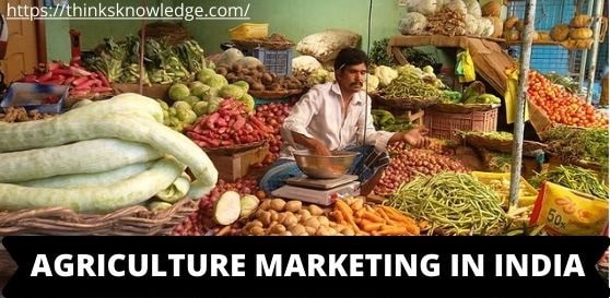 AGRICULTURE MARKETING IN INDIA