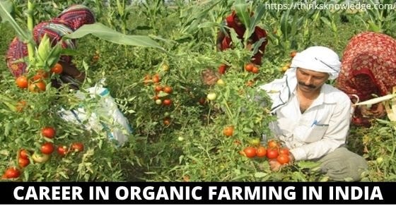 Career in Organic Farming in India 