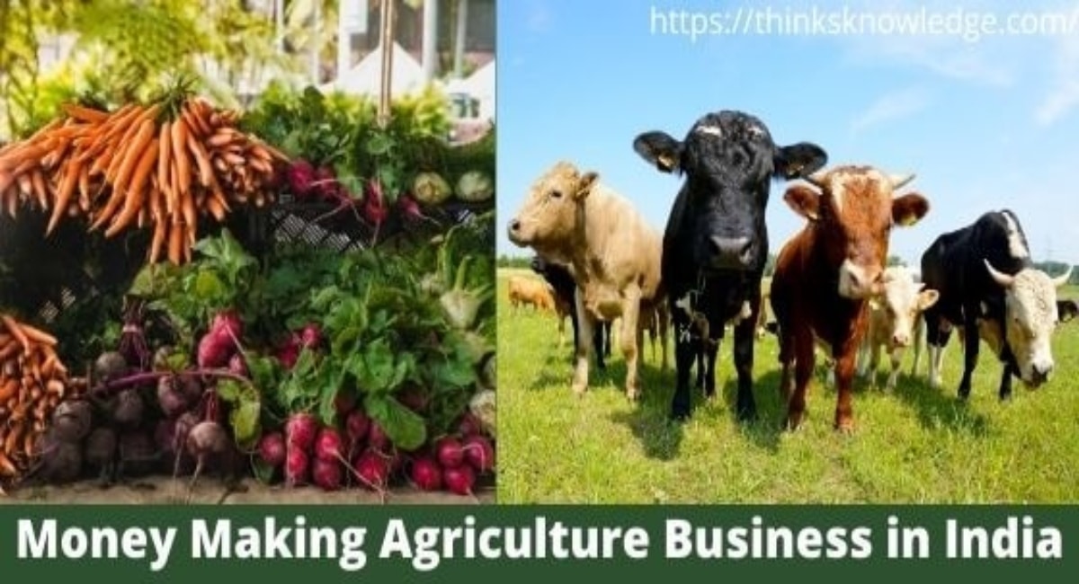 Money Making Agriculture Business in India