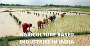 Agriculture Based Industries in India | Types of Agriculture Industry ...