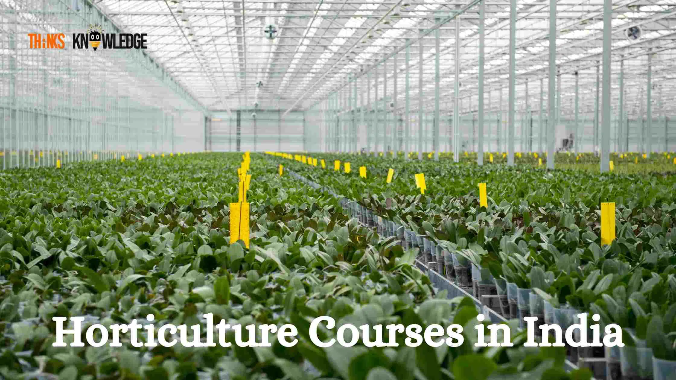 Horticulture Courses