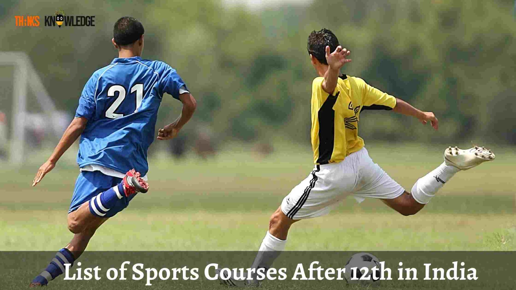 list-of-sports-courses-after-12th-diploma-graduation-in-india-and-career