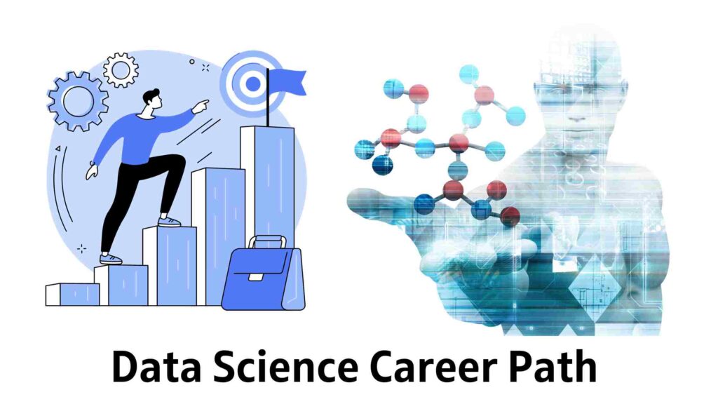 Data Science Career Path And Role In India | Thinksknowledge